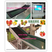 Máquina de clasificación automática de frutas / Máquina de clasificación / + 8615621096735